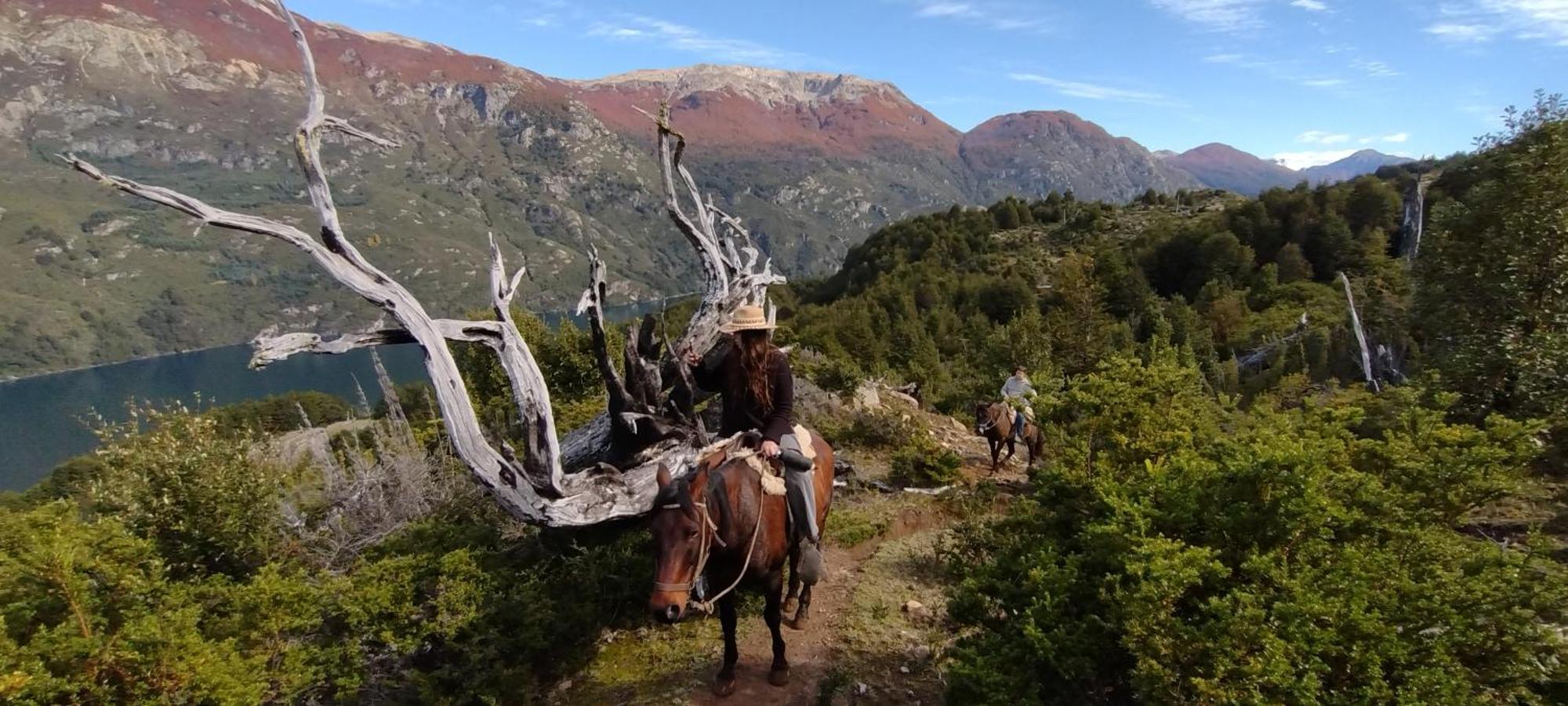 פוטלאופו Peuma Lodge Patagonia מראה חיצוני תמונה